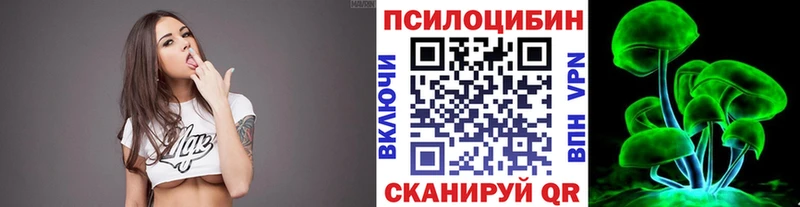 Псилоцибиновые грибы Psilocybe  наркота  Иннополис 