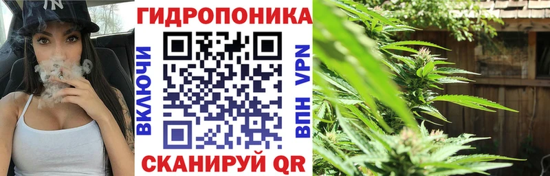 Каннабис сатива магазин продажи Иннополис